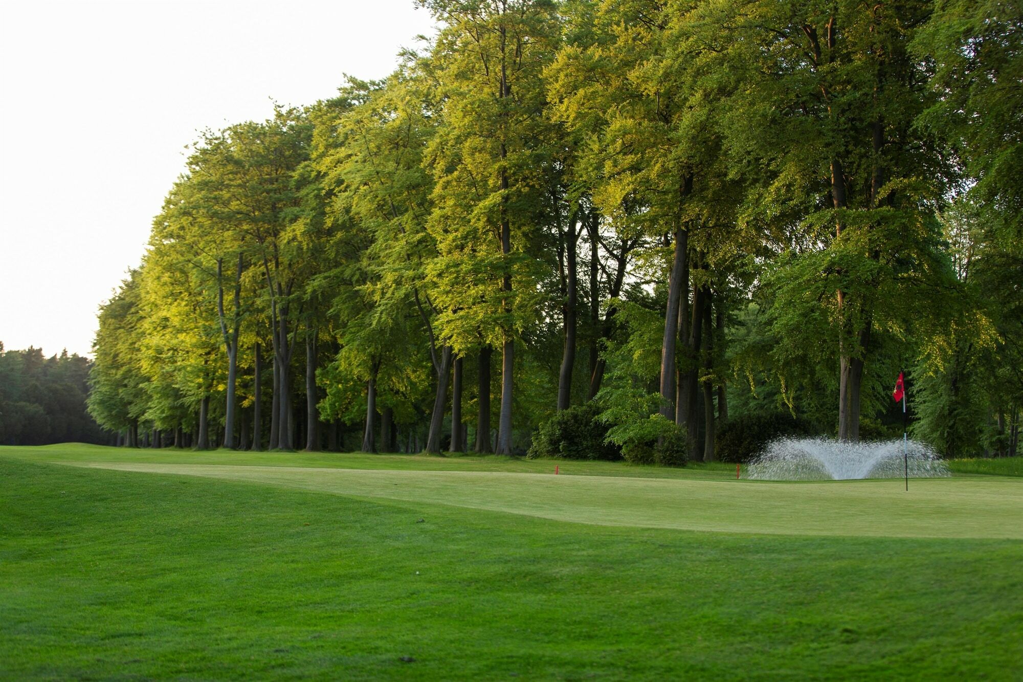 Forest Pines Hotel, Spa & Golf Resort Brigg Ngoại thất bức ảnh